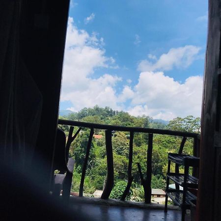 Ella City Reach Hostel 객실 사진