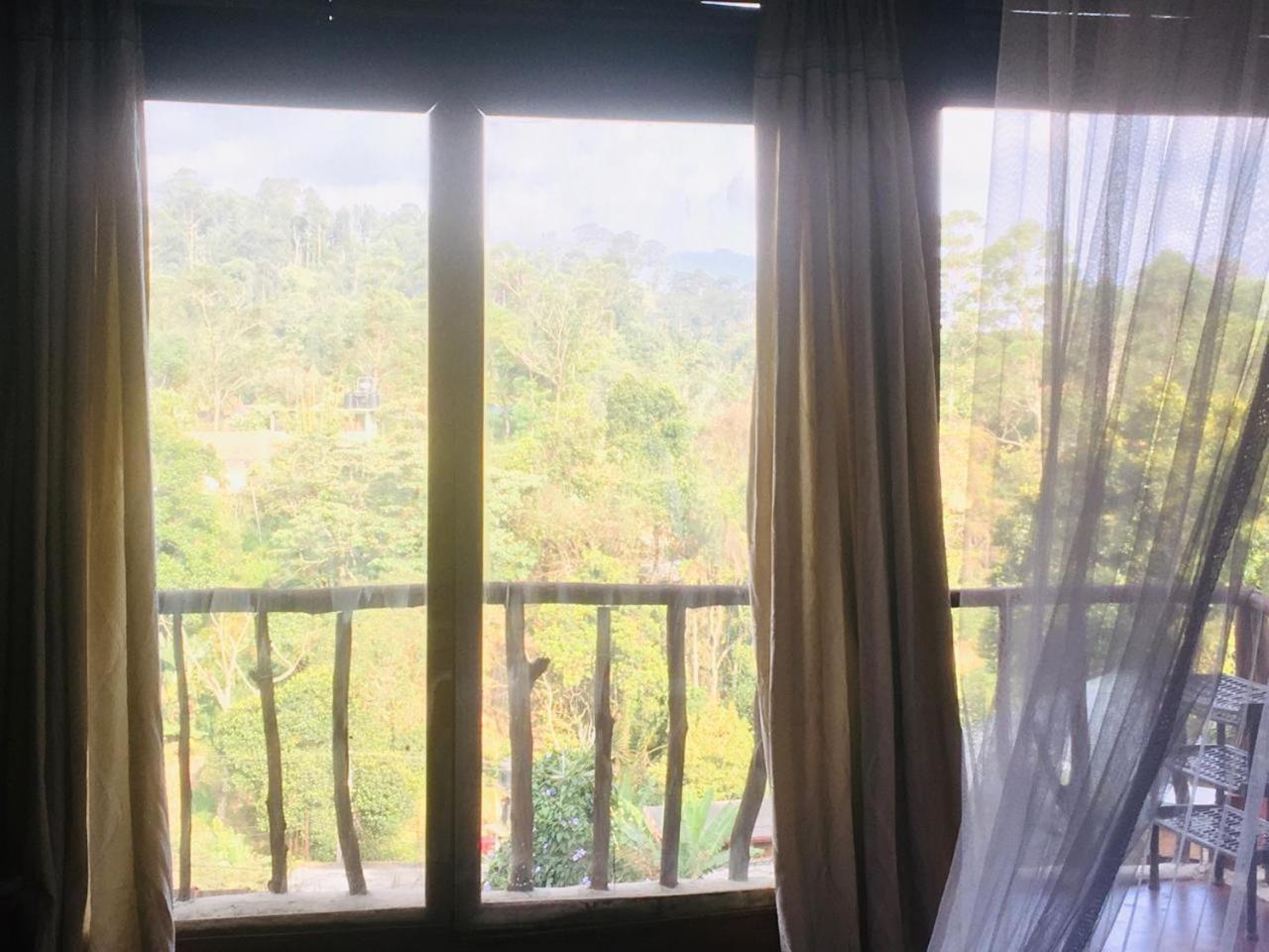 Ella City Reach Hostel 객실 사진